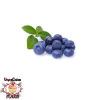 Flavor :  Vcfa Bilberry by 1Life