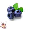 Flavor :  Vcfa Blueberry by 1Life