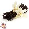 Flavor :  Vcfa French Vanilla by 1Life