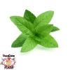 Flavor :  Vcfa Mint by 1Life
