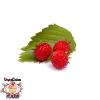 Flavor :  Vcfa Wild Strawberry by 1Life