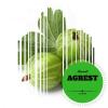 Flavor :  Agrest by 4Fun