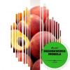 Flavor :  Brzoskwinia Morela by 4Fun