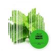 Flavor :  Liscie Miety by 4Fun