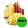 Flavor :  Mango by 4Fun