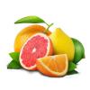 Flavor :  Agrumes by AOC Juices