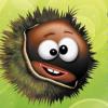 Flavor :  Chestnut by AOC Juices