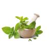 Flavor :  Menthe Verte by AOC Juices