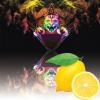 Flavor :  Citron Jaune Italie by ARIA VpingStyle