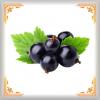 Flavor :  Groseille Noir Cassis by ARIA VpingStyle