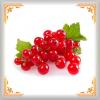 Flavor :  Groseille Rouge by ARIA VpingStyle