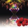 Flavor :  Hibiscus by ARIA VpingStyle