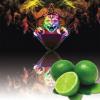 Flavor :  Limette par ARIA VPINGSTYLE