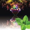 Flavor :  Menthe Verte Naturel by ARIA VpingStyle