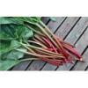 Flavor :  Rhubarb by Aristo-CAT