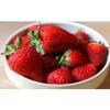 Flavor :  Strawberry by Aristo-CAT