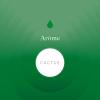Flavor :  Cactus by Aroma Sense