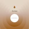 Flavor :  Caramel by Aroma Sense
