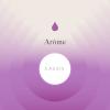 Flavor :  Cassis by Aroma Sense