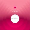 Flavor :  Framboise by Aroma Sense