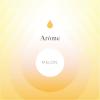 Flavor :  Melon by Aroma Sense
