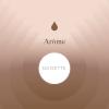 Flavor :  Noisette by Aroma Sense