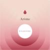 Flavor :  Rhubarbe by Aroma Sense