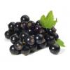 Flavor : cassis by Aromea Flavor : cassis by Aromea