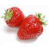 Flavor : fraise by Aromea Flavor : fraise by Aromea