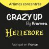 Arôme : Hellebore
Dernière mise à jour le : 09-03-2017 Arôme : Hellebore
Dernière mise à jour le : 09-03-2017