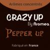 Arôme : Pepper Up
Dernière mise à jour le : 06-01-2018 Arôme : Pepper Up
Dernière mise à jour le : 06-01-2018