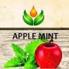 Flavor :  Apple Mint by ArtVap
