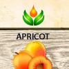 Flavor :  Apricot by ArtVap