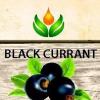 Flavor :  Blackcurrant by ArtVap