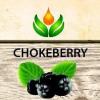 Flavor :  Chokeberry par ARTVAP