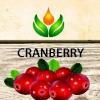 Flavor :  Cranberry by ArtVap