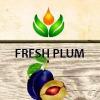 Flavor :  Fresh Plum by ArtVap