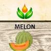 Flavor :  Juice Melon Cantaloupe by ArtVap