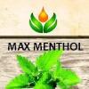 Flavor :  Max Menthol by ArtVap