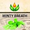 Flavor :  Minty Breath by ArtVap