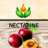 Flavor :  Nectarine by ArtVap