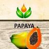Flavor :  Papaya by ArtVap