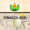 Flavor :  Pinacolada by ArtVap