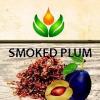 Flavor :  Smoked Plum by ArtVap