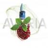 Flavor :  Granatapfel by Avoria