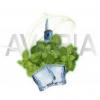 Flavor :  Ice Bonbon by Avoria