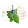 Flavor :  Spearmint by Avoria