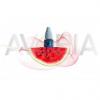 Flavor :  Wassermelone by Avoria