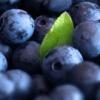 Flavor :  Blueberry by Azure Vaping