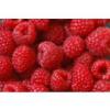 Flavor :  Raspberry by Azure Vaping